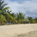 Krency's Bakery Incorporated